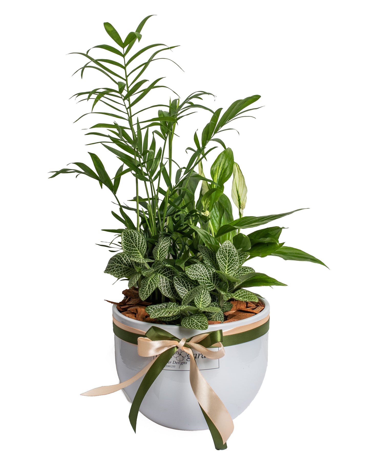 Arrangement With Plants In Clay Container No.5 - BG Flowers