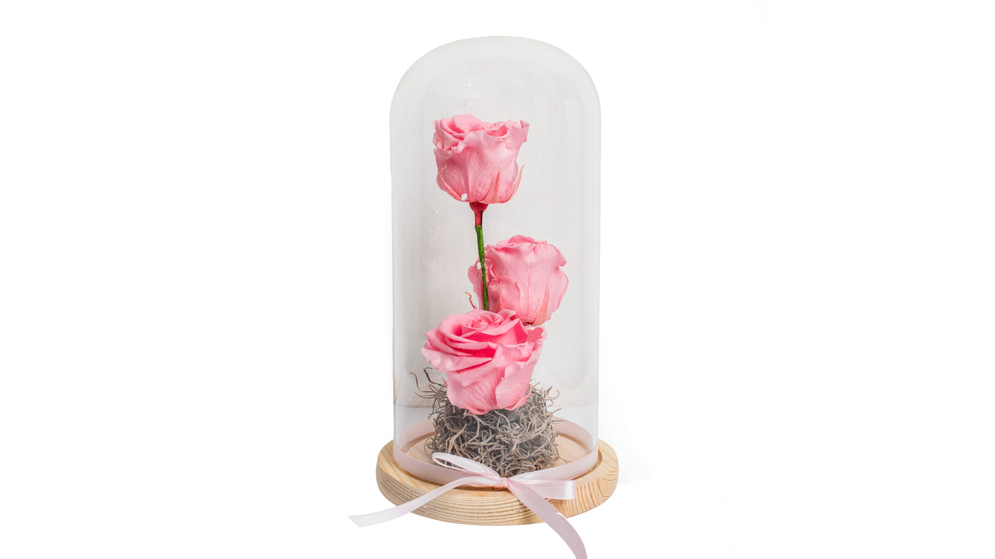 3 long lasting Pink Roses in Glass Container - BG Flowers