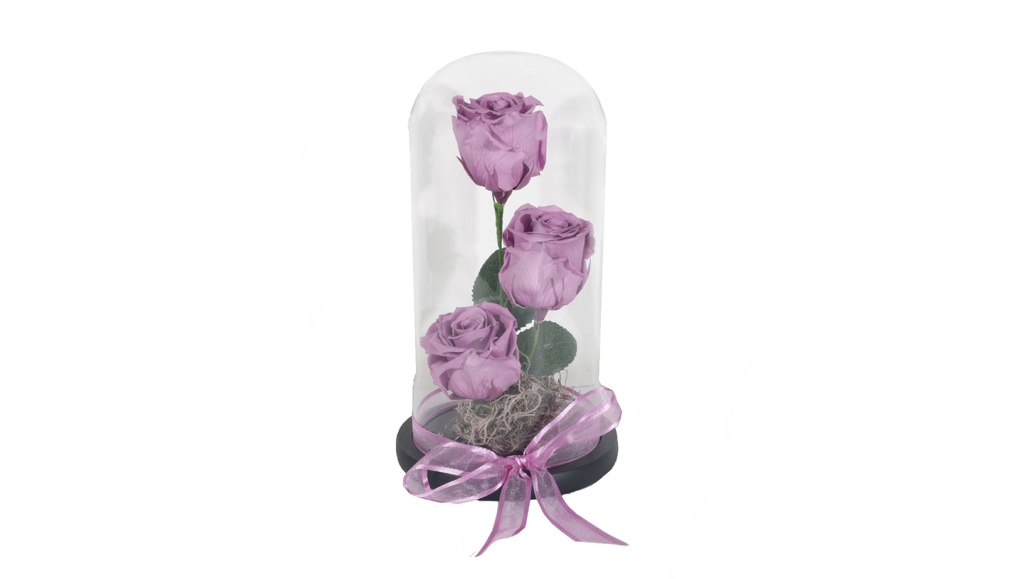 3 long lasting Purple Roses in a Glass Container - BG Flowers