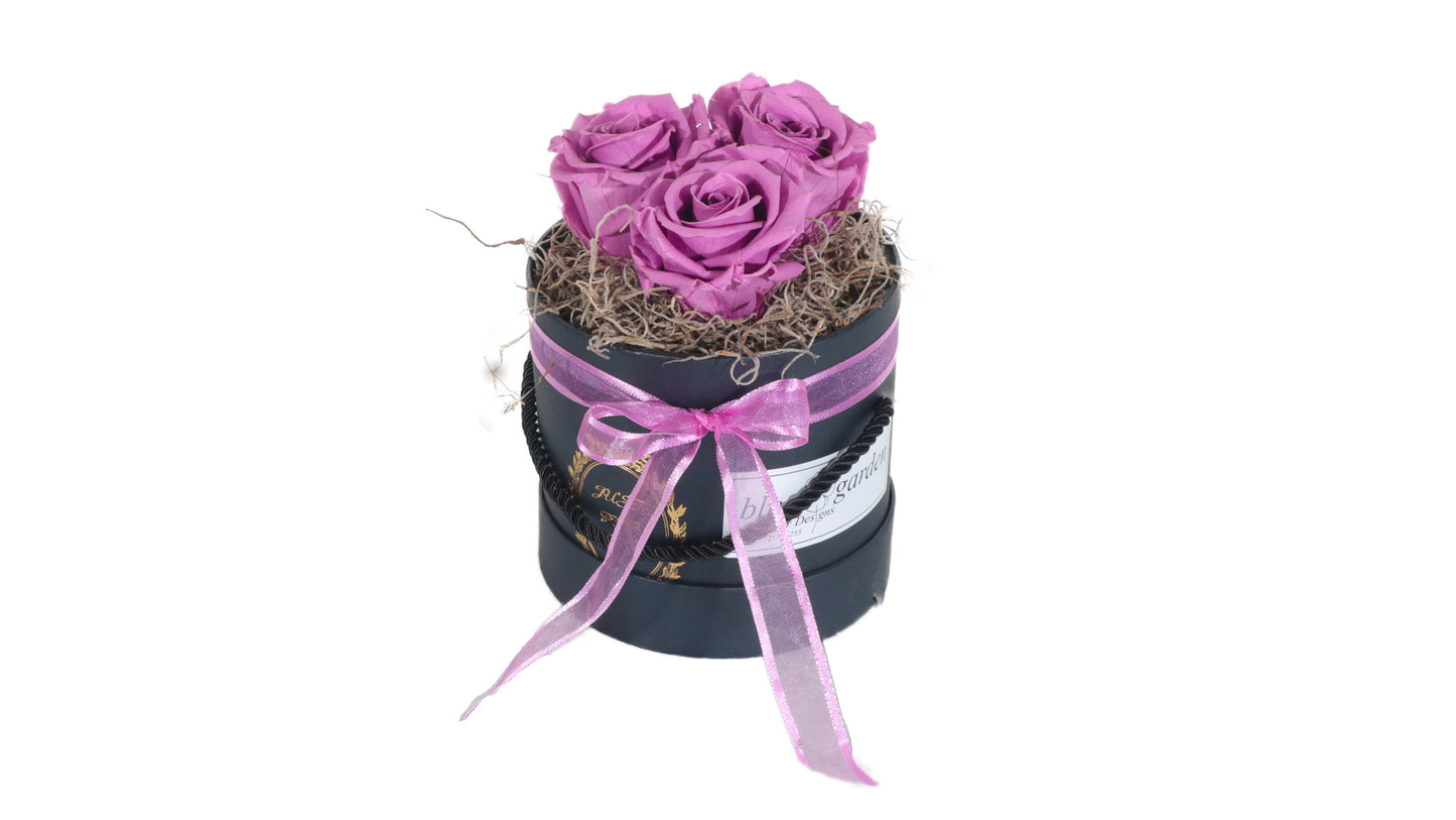 3 long lasting Purple Roses in a Black/White Box - BG Flowers