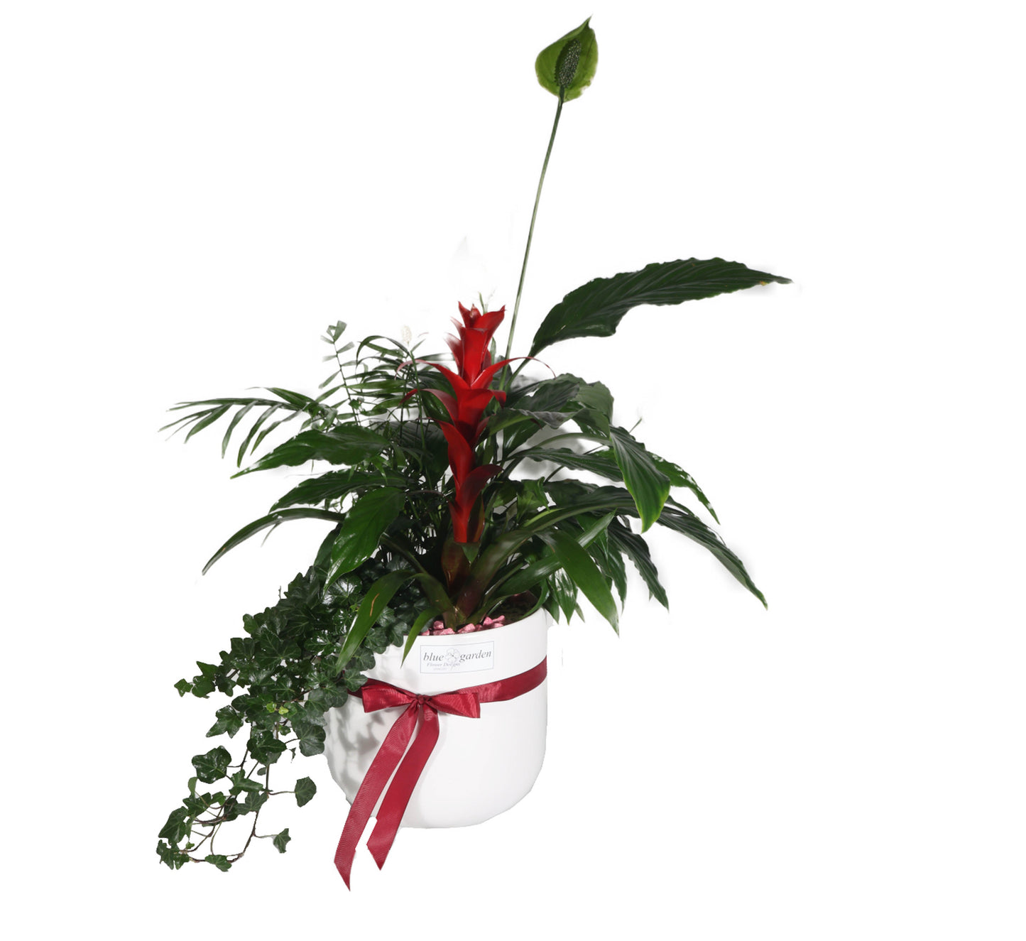 Arrangement With Plants In Clay Pot No.4 - BG Flowers