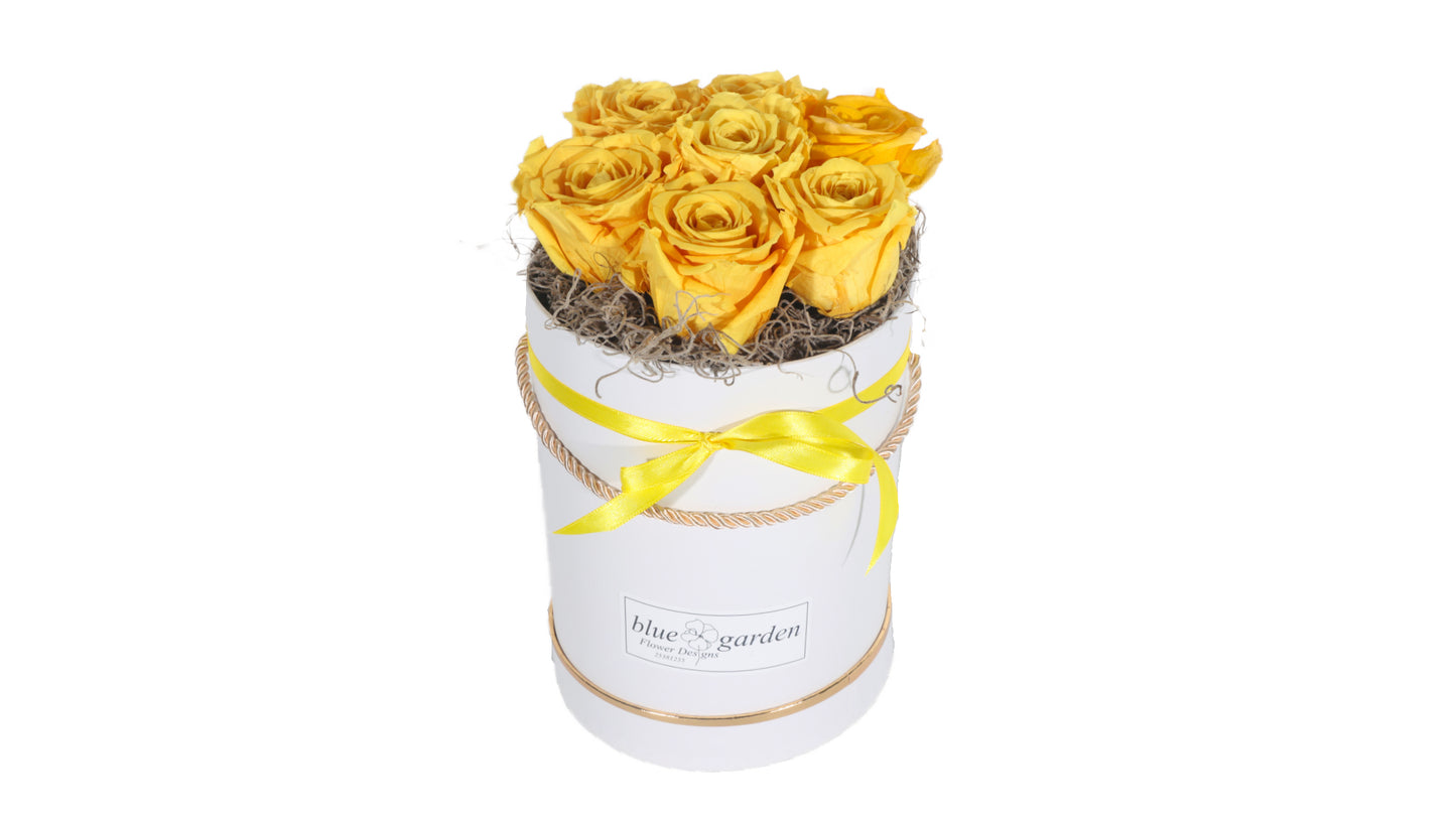 7 long lasting Yellow Roses in a Black/White Box - BG Flowers