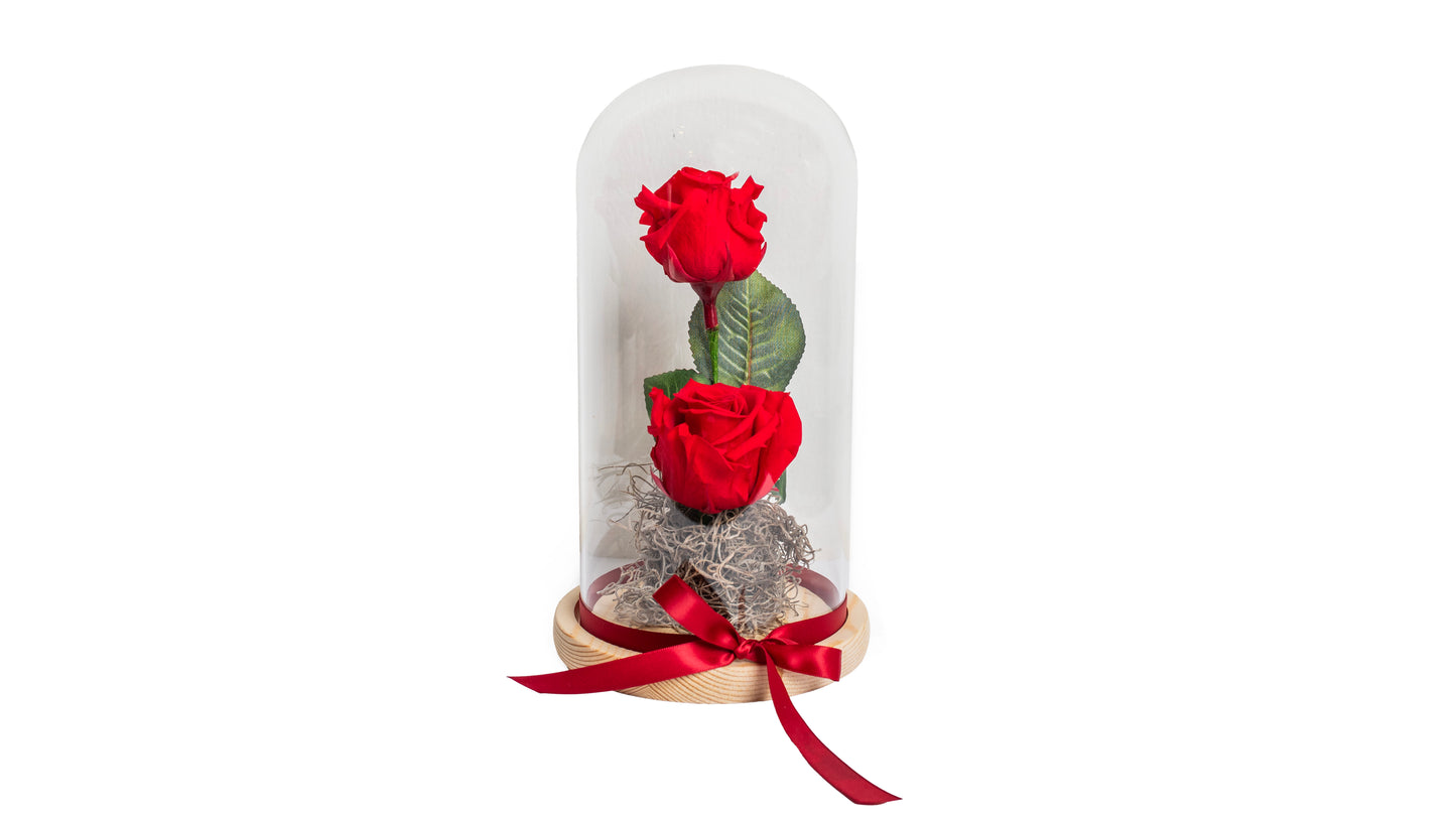 2 Red Long Lasting Rose in Glass Containe - BG Flowers
