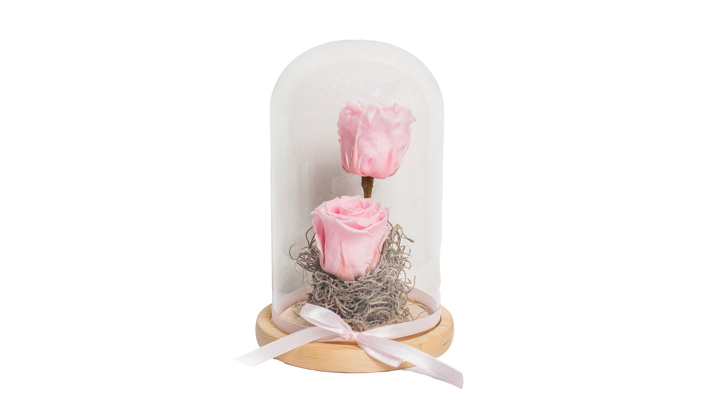 2 Pink Long Lasting Rose in Glass Containe (Copy) - BG Flowers