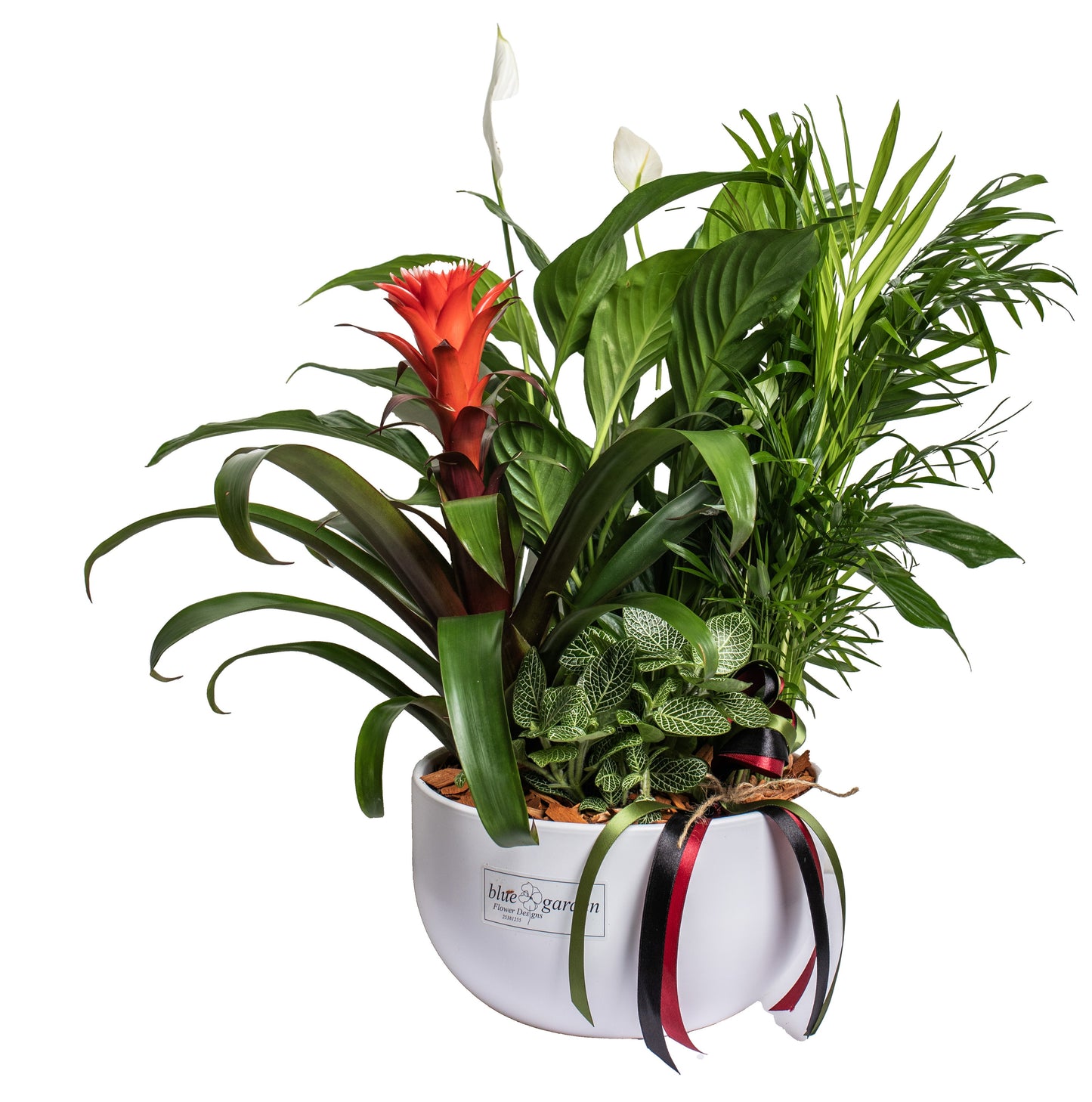 Arrangement With Plants In Clay Pot No. 1 - BG Flowers