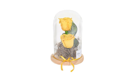 2 long lasting Yellow Roses in a Glass Container - BG Flowers