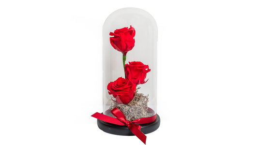 3 long lasting Red Roses in a Glass Container - BG Flowers