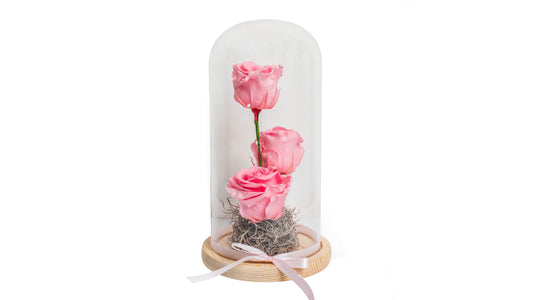 3 long lasting Pink Roses in Glass Container - BG Flowers