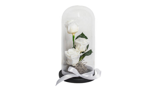 3 long lasting White Roses in a Glass Container - BG Flowers