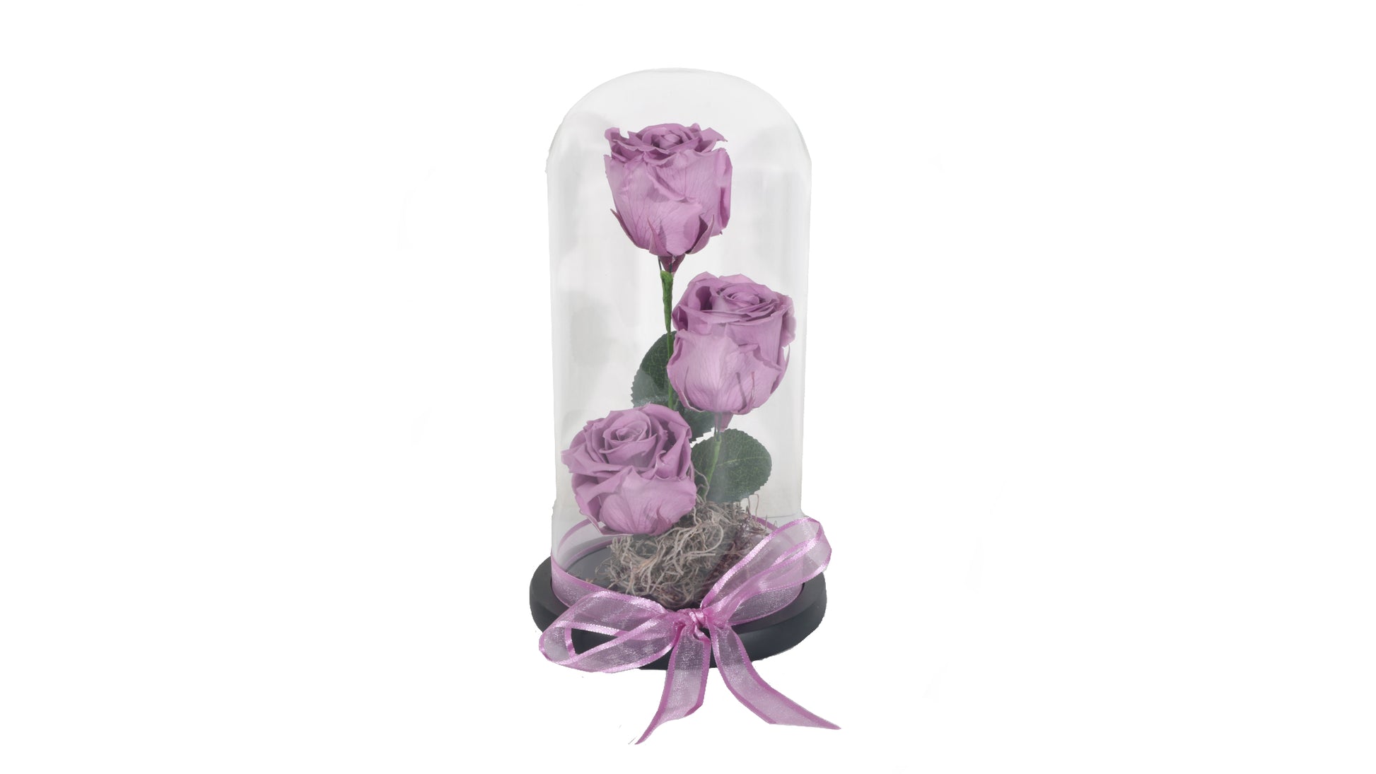 3 long lasting Purple Roses in a Glass Container - BG Flowers