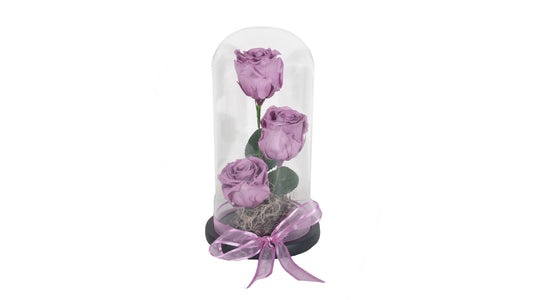 3 long lasting Purple Roses in a Glass Container - BG Flowers