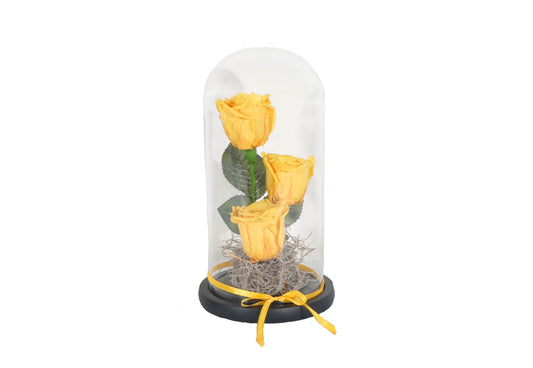3 long lasting Yellow Roses in a Glass Container - BG Flowers