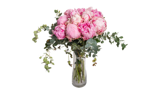 Peonies Bouquet - BG Flowers