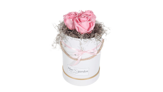3 long lasting Pink Roses in a Black/White Box - BG Flowers