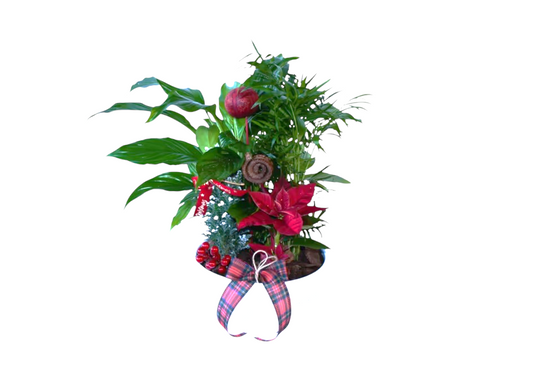 Christmas Arrangement with Plants