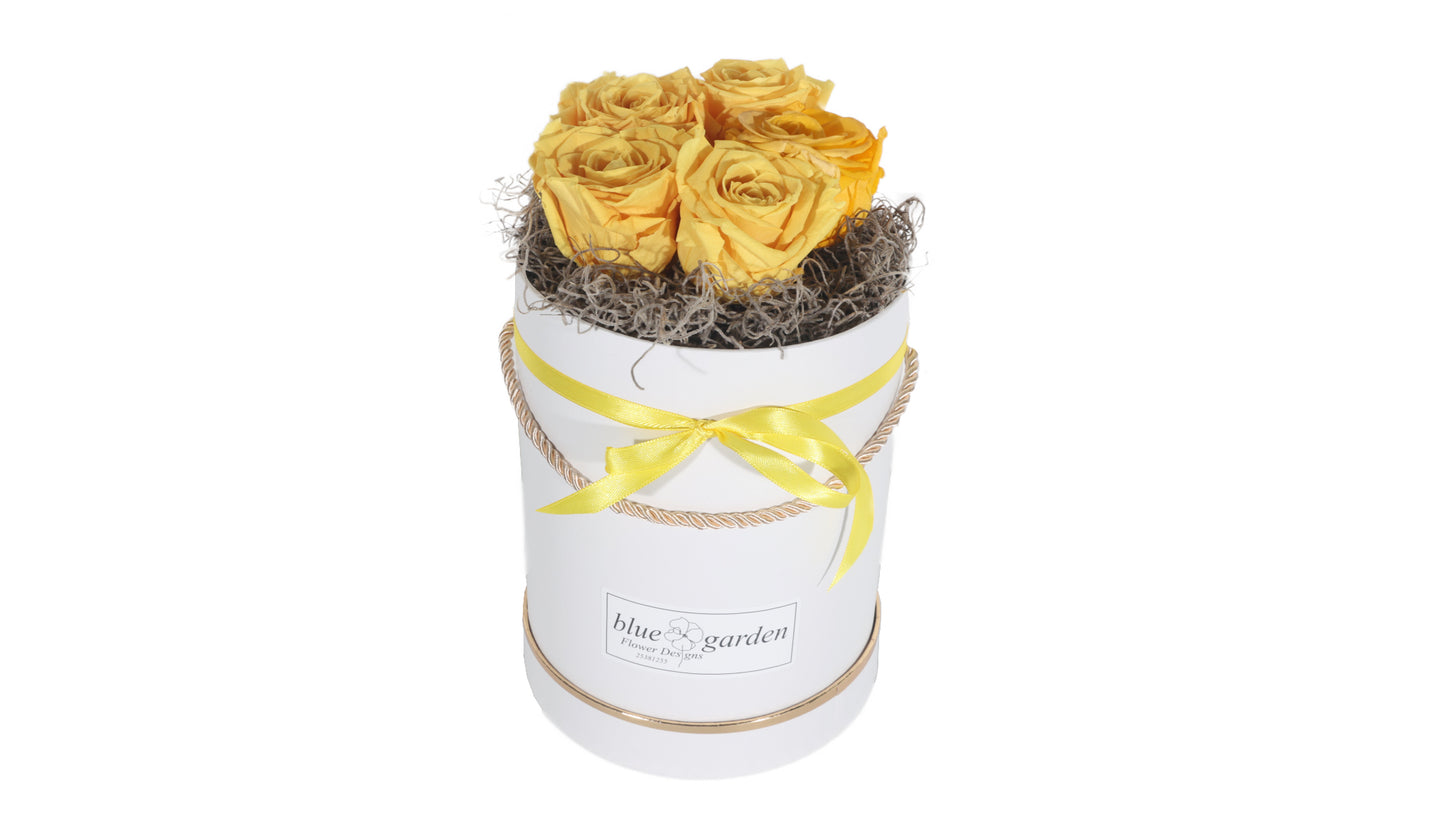5 long lasting Yellow Roses in a Black/White Box - BG Flowers