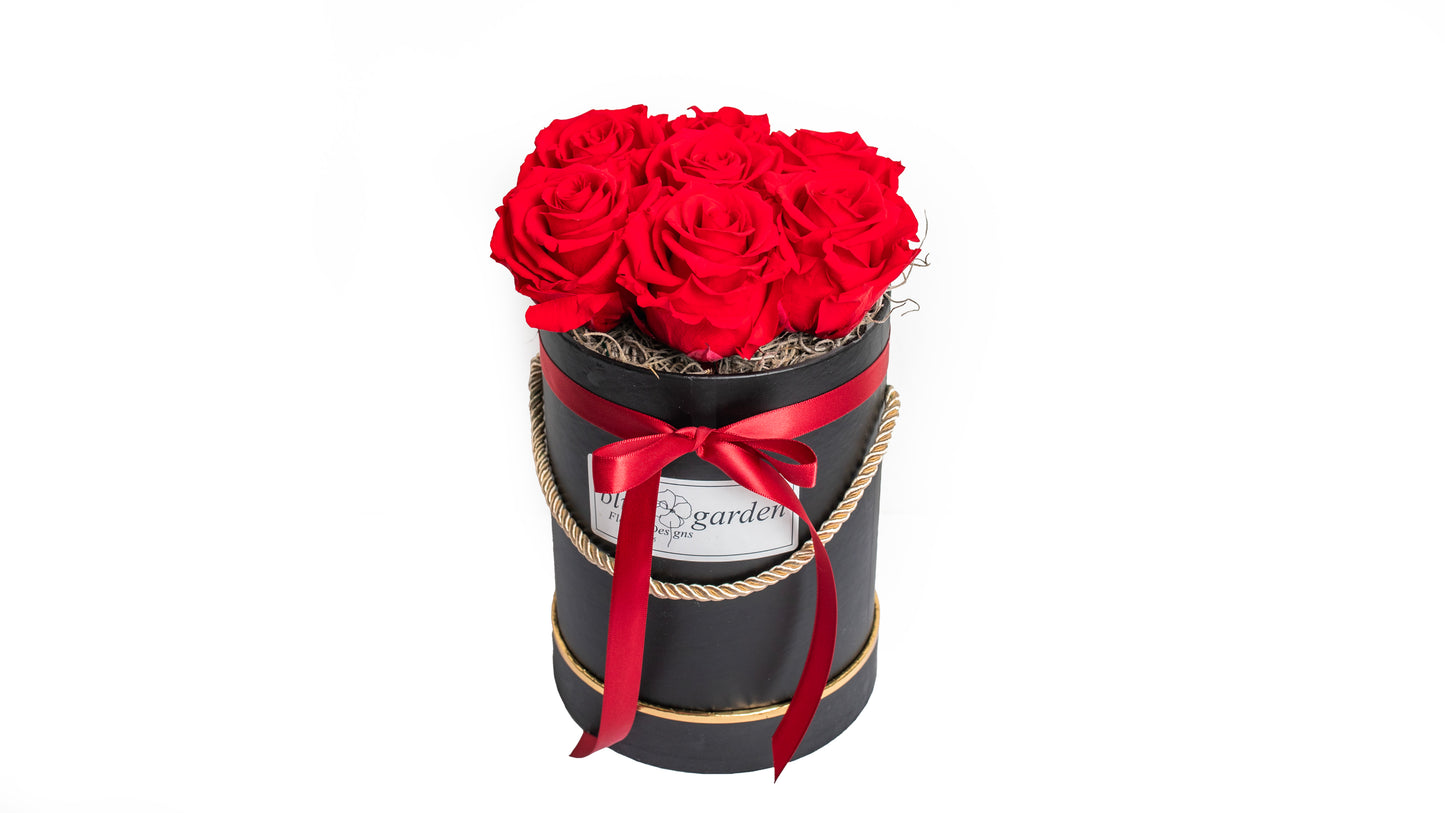7 long lasting Red Roses in a Black/White Box - BG Flowers