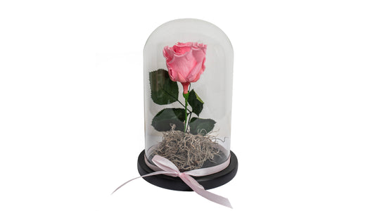1 Pink Long Lasting Rose in Glass Containe - BG Flowers