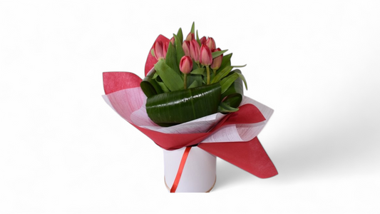 Red Tulips in a Box - BG Flowers