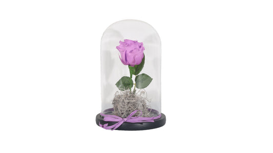 1 Purple Long Lasting Rose in Glass Containe - BG Flowers