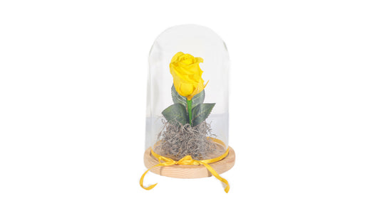 1 Yellow Long Lasting Rose in Glass Containe - BG Flowers