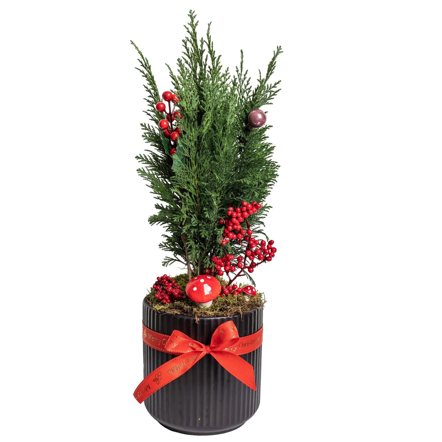 Christmas Tree In A Clay Pot Ν.3