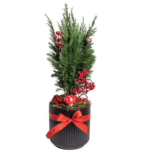 Christmas Tree In A Clay Pot Ν.3