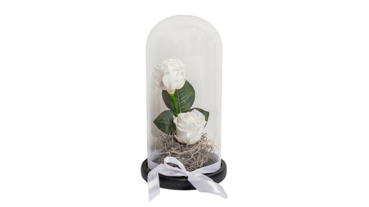 2 long lasting White Roses in a Glass Container - BG Flowers