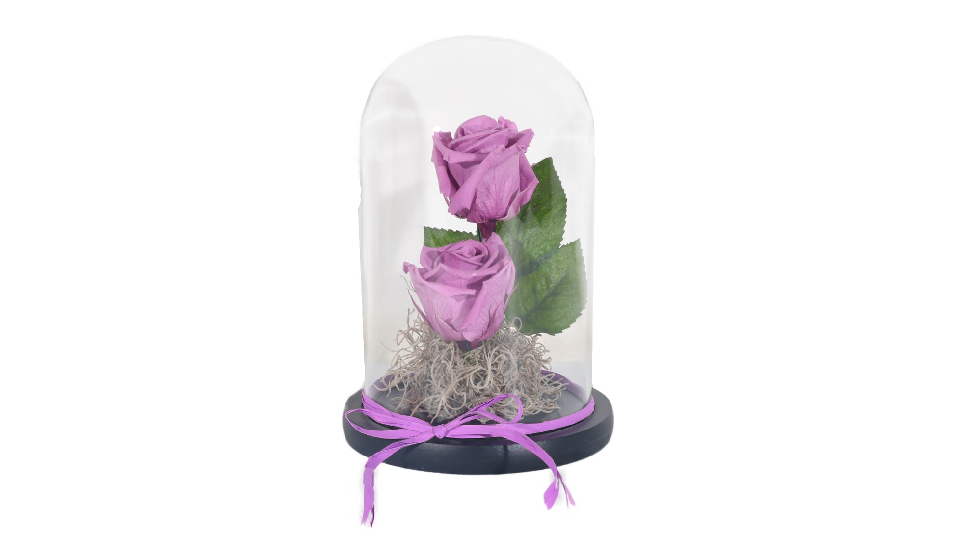 2 long lasting Purple Roses in a Glass Container - BG Flowers